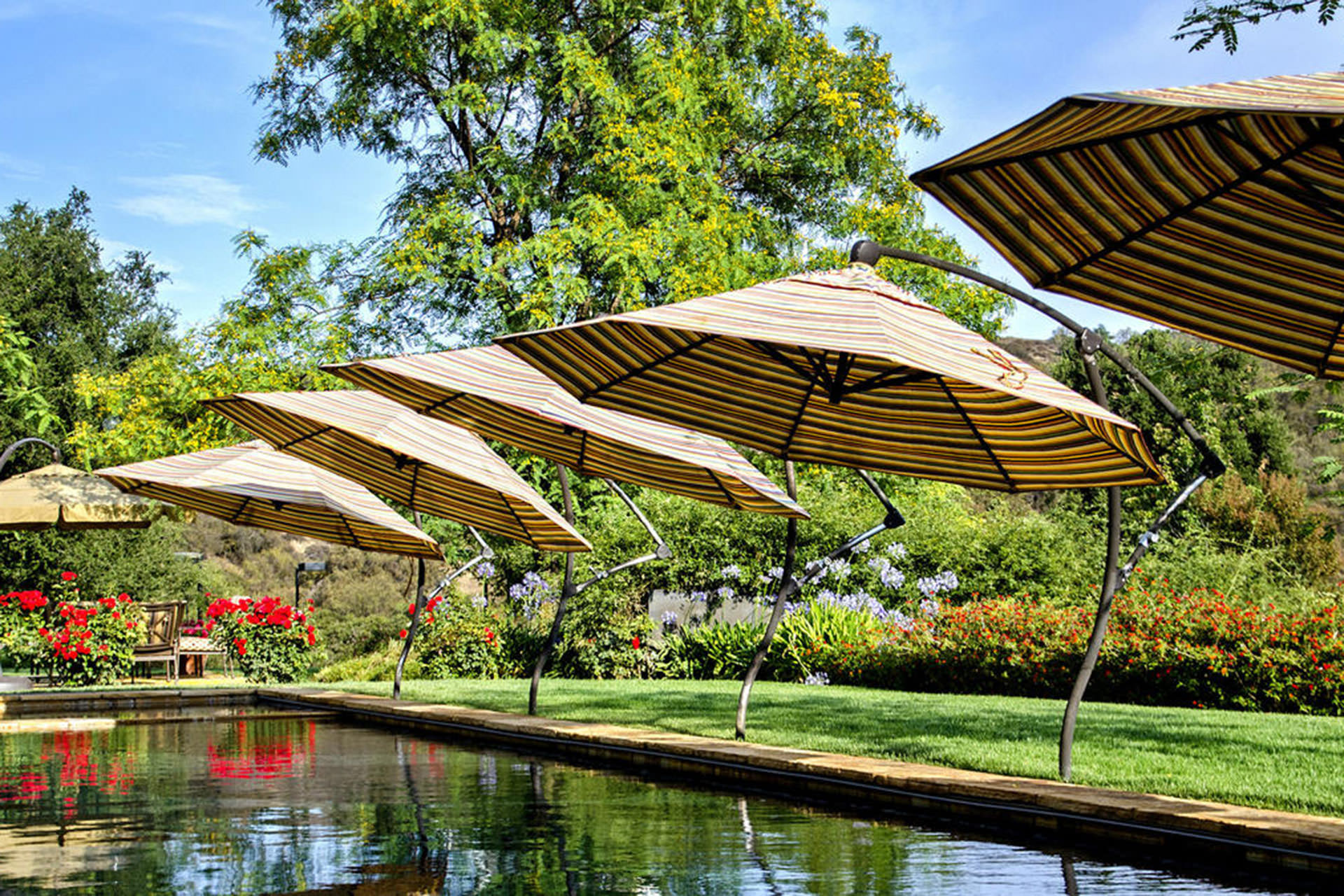 Pool Shade Ideas Umbrellas